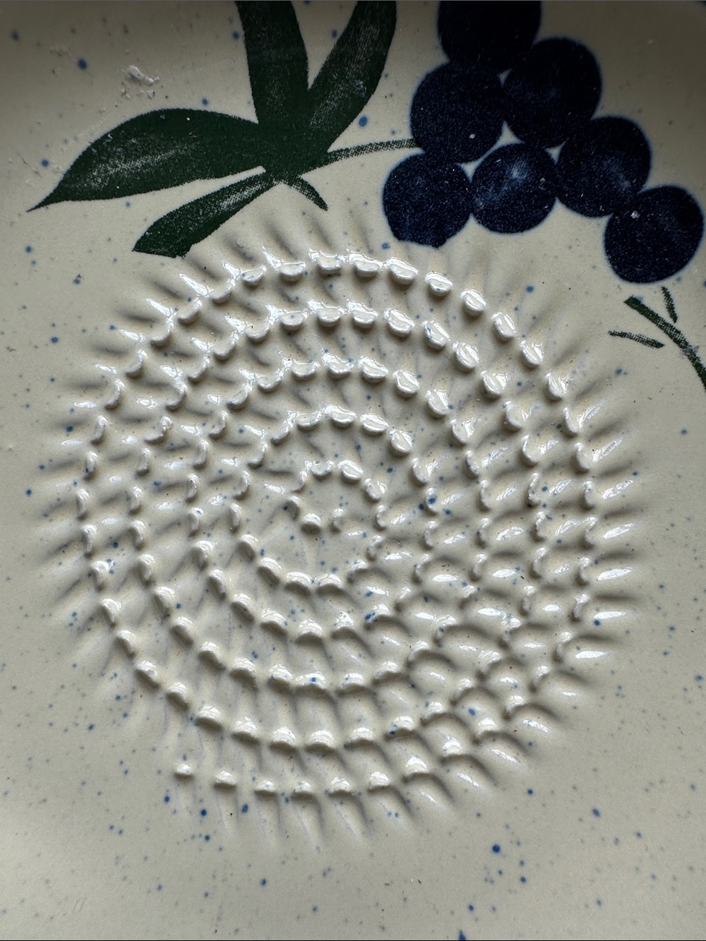 Ceramic Berry Grind Plate in Cream with Blue Rim - Picture 3 of 4